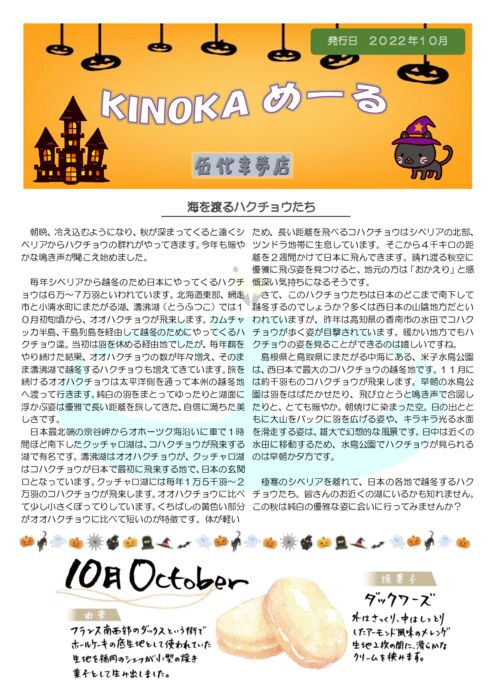 KINOKAメール 2022年10月号のサムネイル